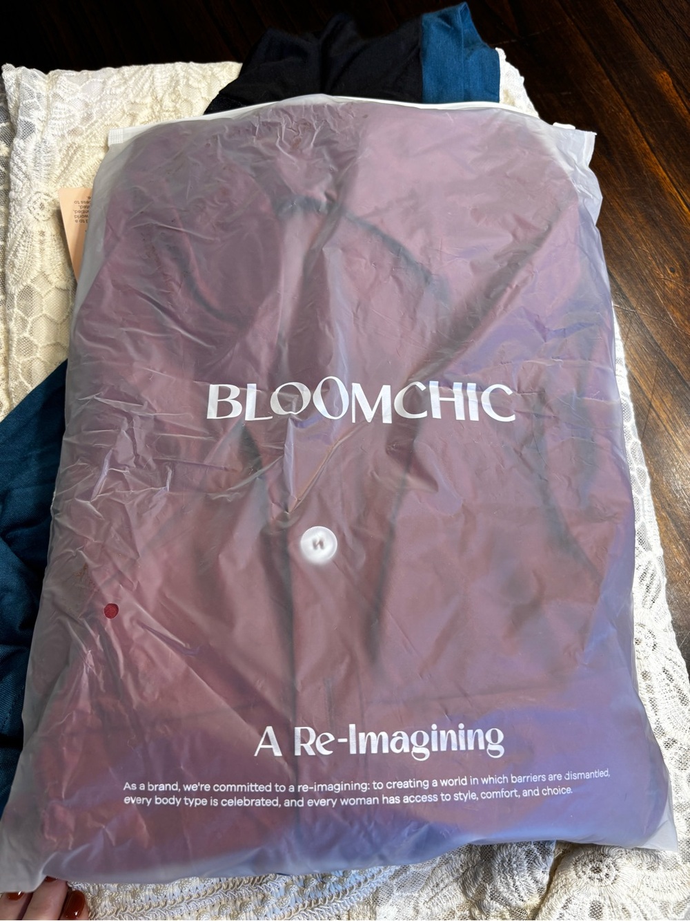 BloomChic Burgundy and White Garment Storage Cover
